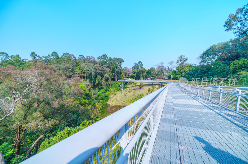 广州雕塑公园东门空中休闲栈道步道