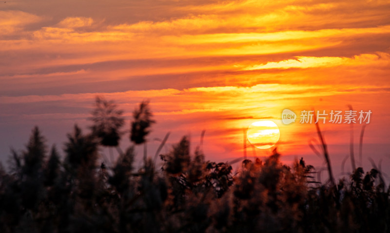 湖面夕阳落日风光