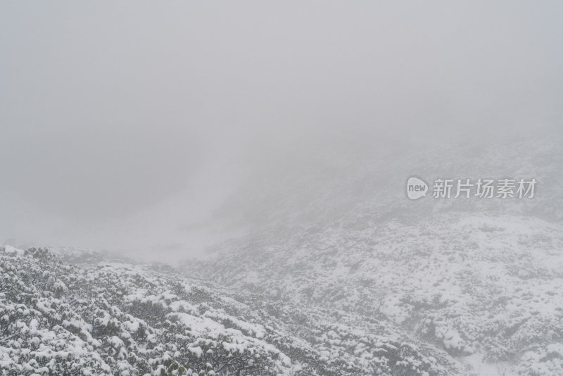 云南大理苍山洗马潭雪景