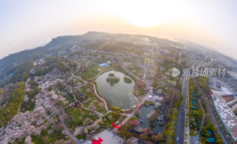 航拍武汉东湖樱花园景区