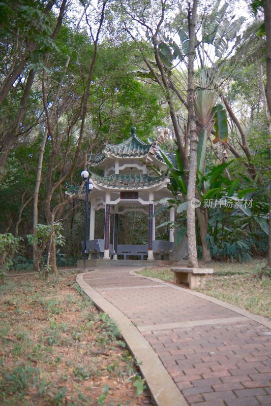 深圳莲花山公园