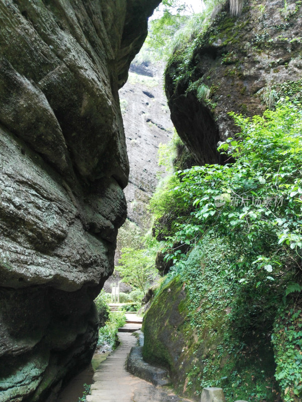 武夷山山间狭窄岩石步道与绿植景观