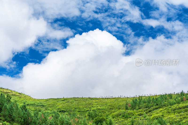 绿色山坡山脊线上的天空蓝天白云美景