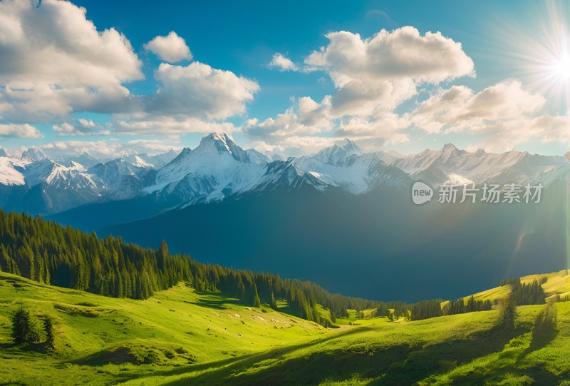 雪山草原森林风景