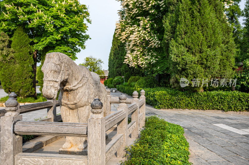 河南洛阳白马寺白马景点景观