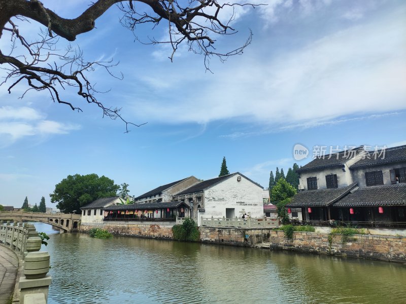 石桥横跨水面，绿树环绕-沈荡老镇