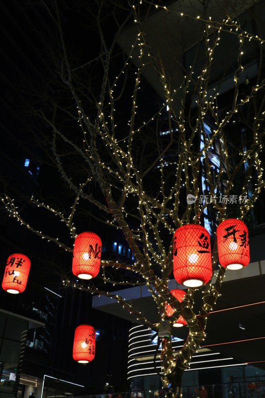 夜晚城市中挂有灯笼的装饰树