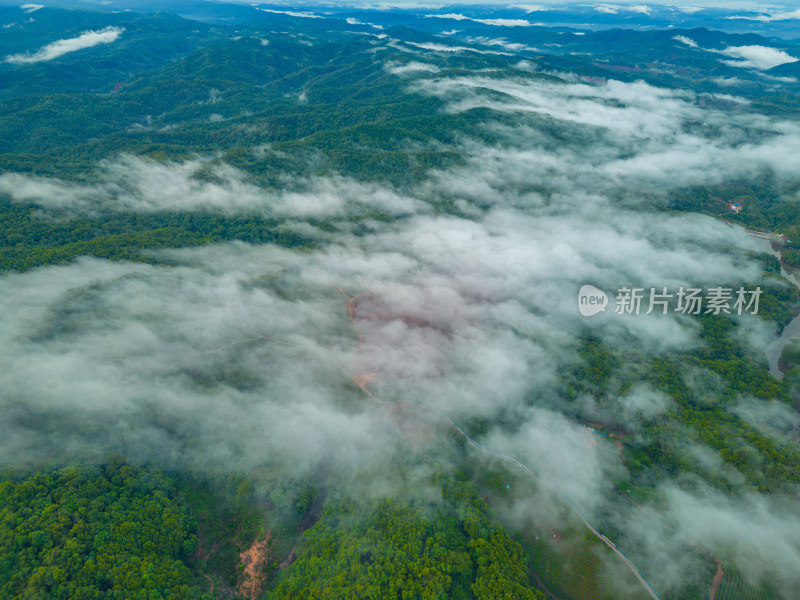 航拍雨后山中云雾缭绕