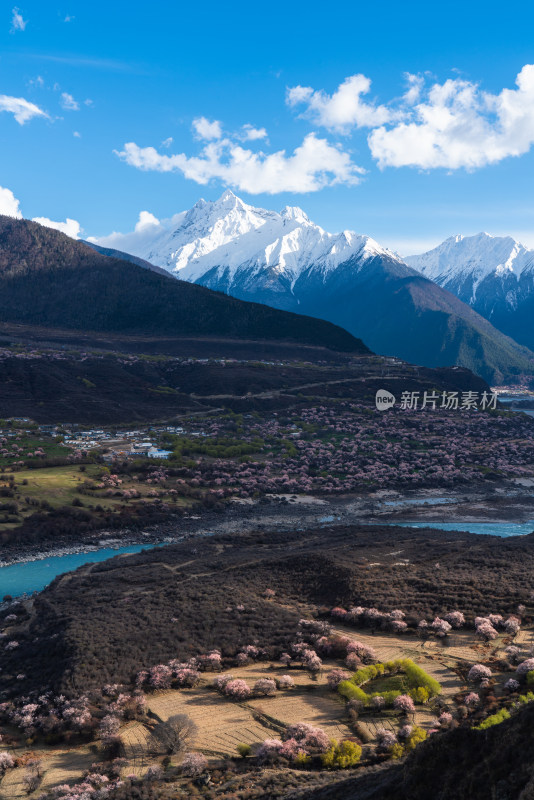 春天桃花盛开的雅鲁藏布大峡谷和多雄拉山