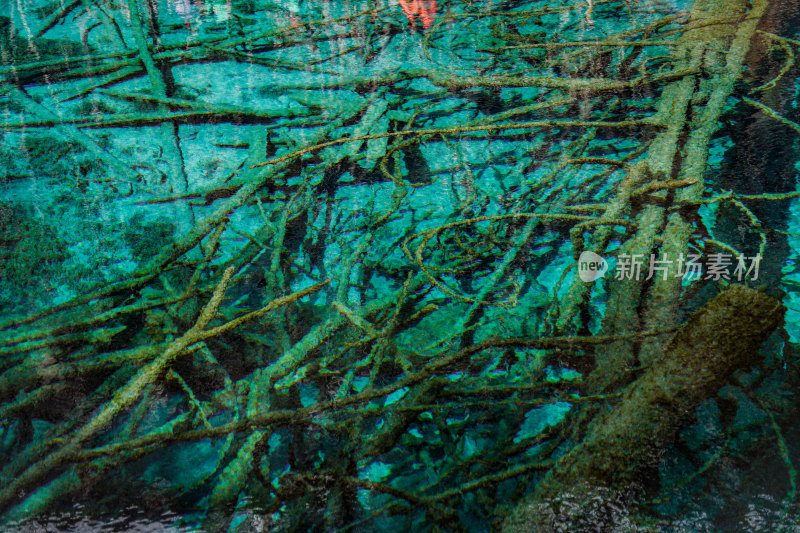 九寨沟的清澈湖水景观