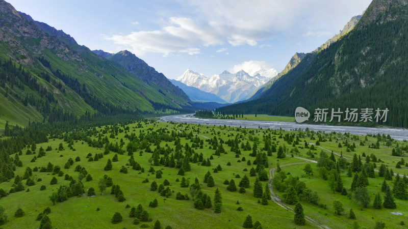 航拍雪山森林河流风景