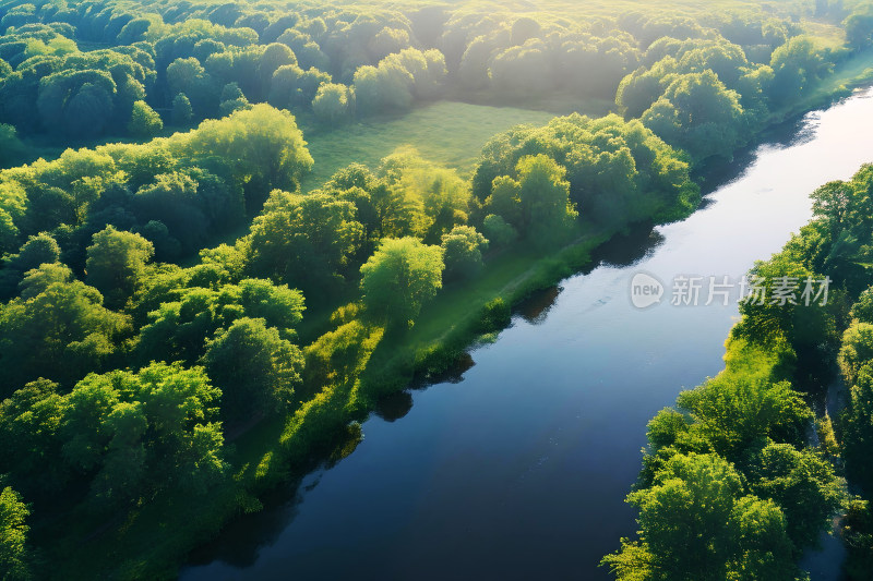 生态背景早晨河流树木