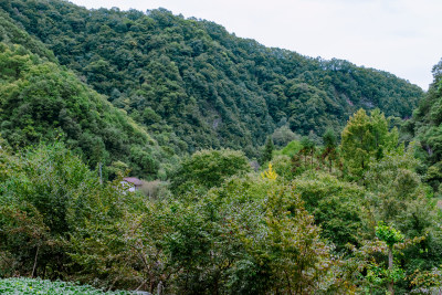 汉中留坝火烧店镇秦岭深处的山中云雾风光