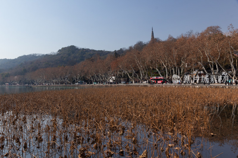 西湖湖面上的小船与远处宝石山的宝俶塔