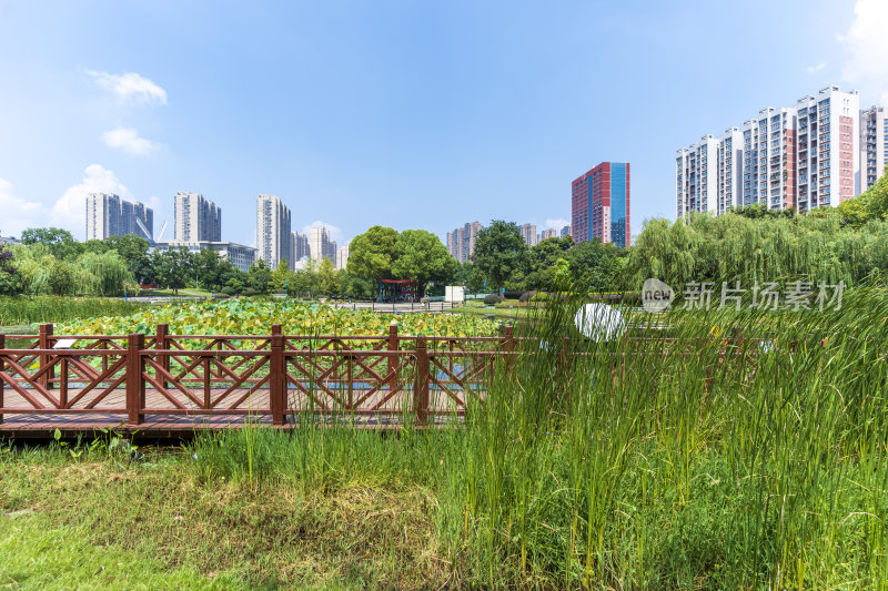 武汉关山荷兰风情园风景