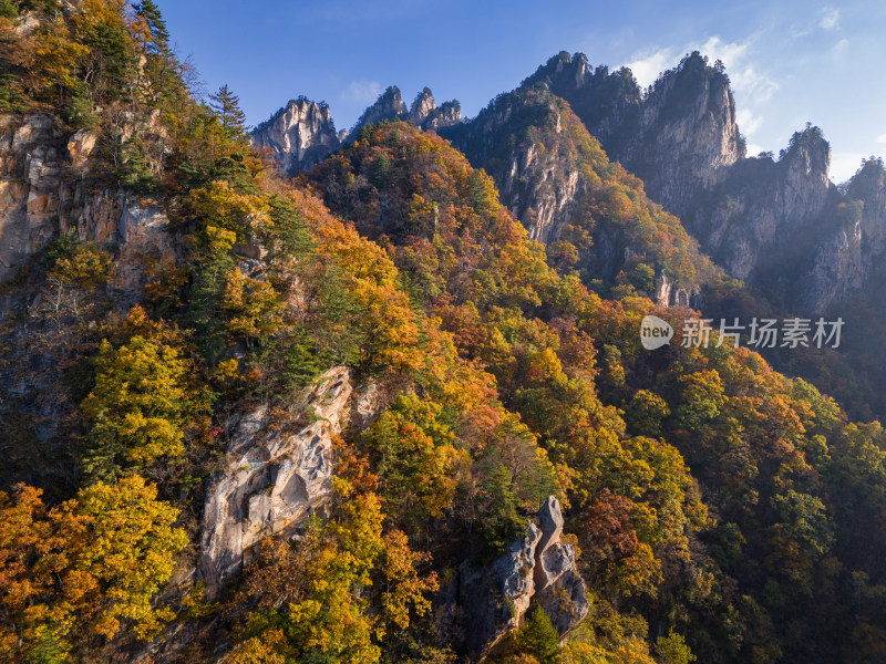 南阳老界岭秋景风光