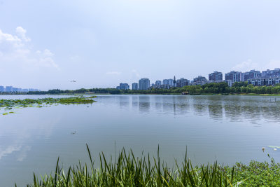 武汉洪山区南湖幸福湾公园风景