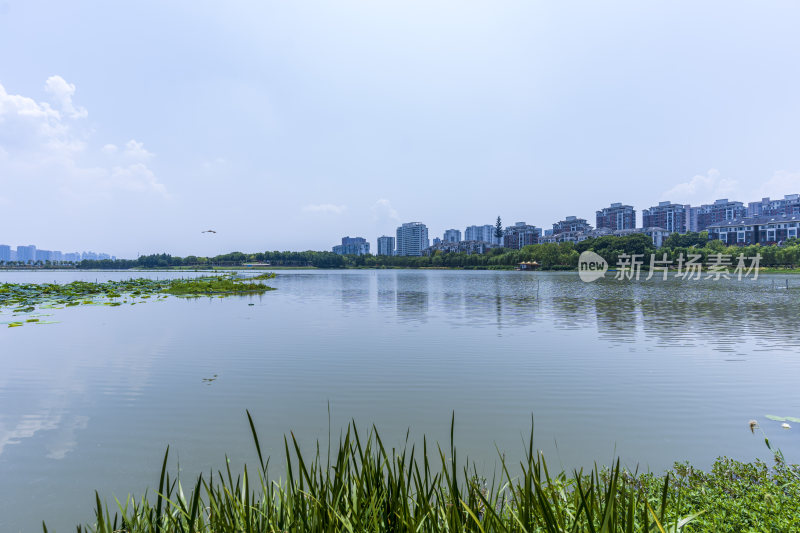 武汉洪山区南湖幸福湾公园风景