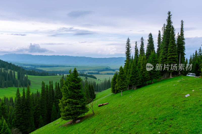 新疆伊犁那拉提森林草原风光