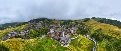 广西桂林龙脊梯田秋收稻田航拍风景