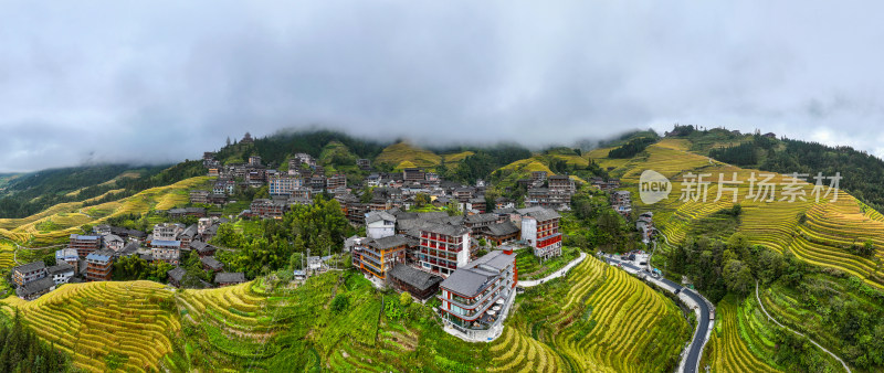 广西桂林龙脊梯田秋收稻田航拍风景