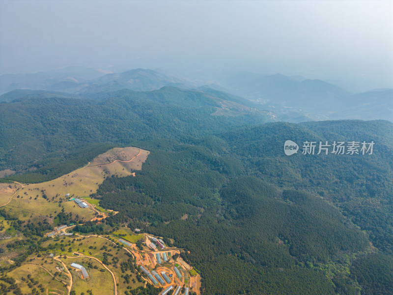 航拍山顶牧场田园风光