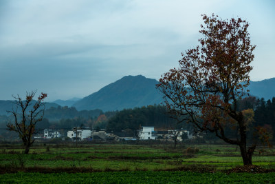 塔川的秋天