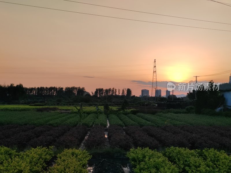 夕阳下的农田风光