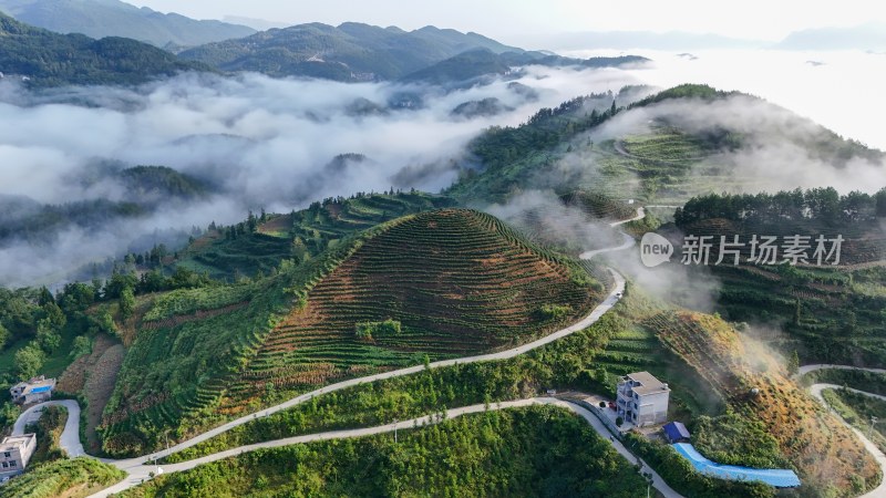 重庆酉阳：“睡佛”下的风景（二）