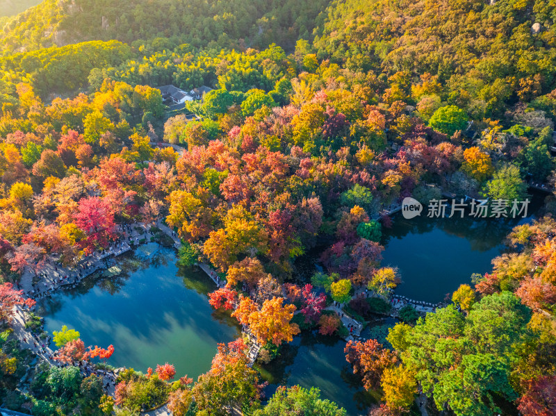 航拍苏州天平山风景区赏秋红枫叶