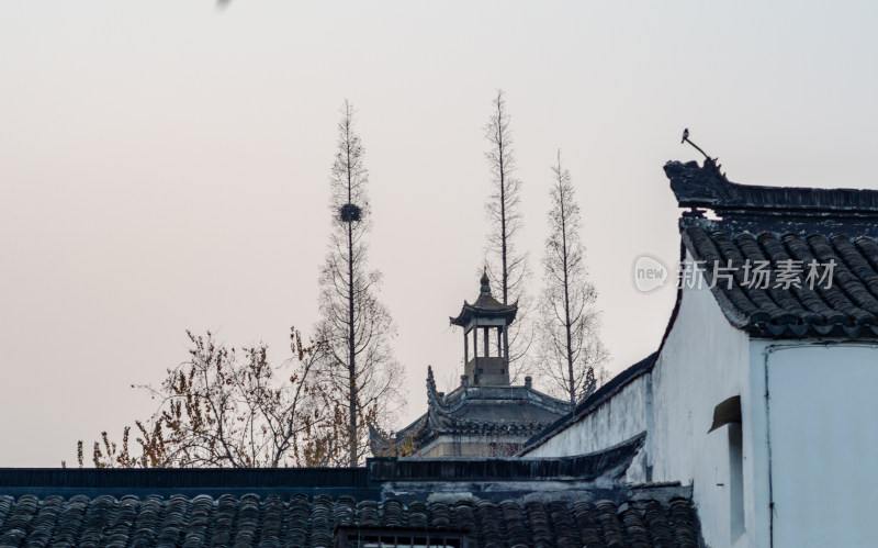 上海朱家角古镇的古建筑屋顶