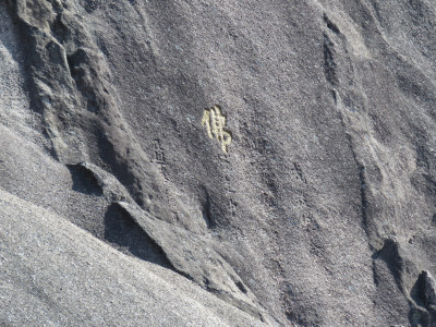 中国安徽黄山旅游风光