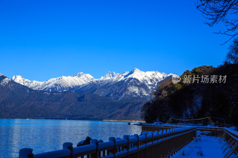 中国西藏林芝市巴松措景区雪山森林湖泊风光