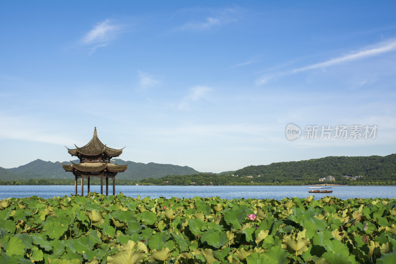 浙江杭州西湖夏天风光