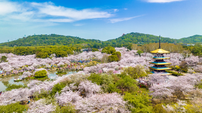 湖北武汉东湖樱花园里的五重塔近景