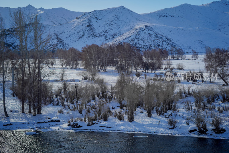 阿勒泰清河积雪覆盖的山林和河流自然景象