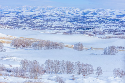 冬天雾凇树挂雪景雪林森林