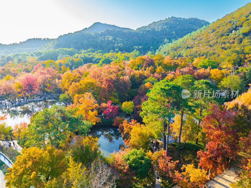 航拍苏州天平山风景区赏秋红枫叶