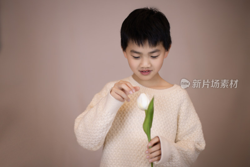 一个帅气的中国小男孩拿着一朵郁金香