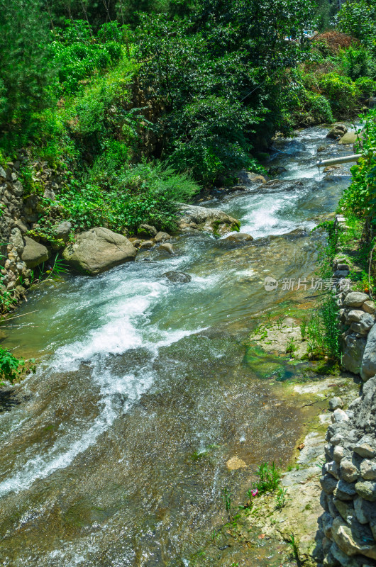 西安市蓝田县秦岭山区辋川山间溪流与绿植