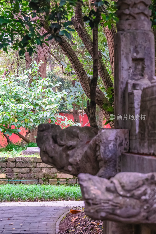 南京钟山风景名胜区明孝陵风景