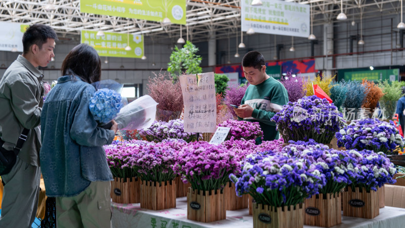 国庆假期云南昆明的斗南花市