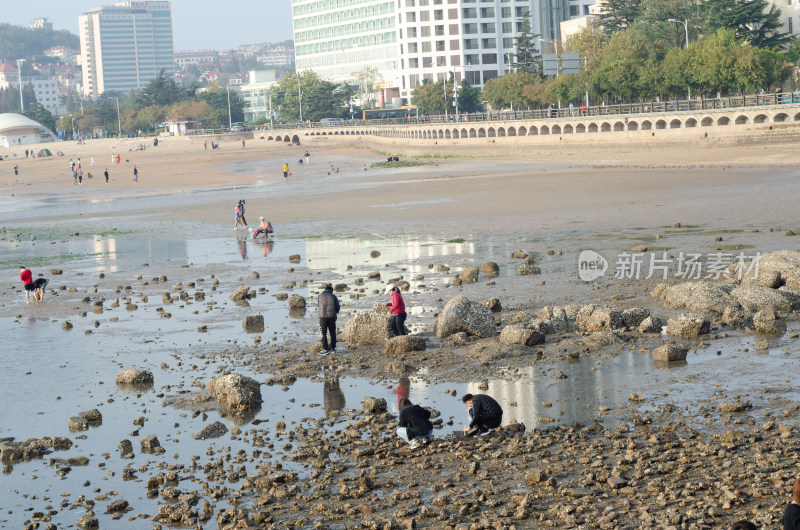 青岛海边滩涂上寻找小虾小蟹