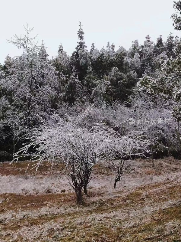 福建泉州德化九仙山景区雾凇