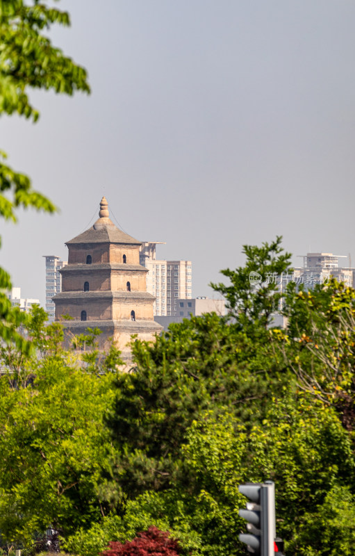 陕西西安大唐芙蓉园看大雁塔建筑景观