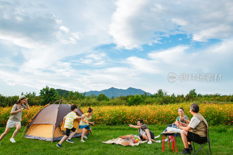 欢乐家庭在郊外野餐