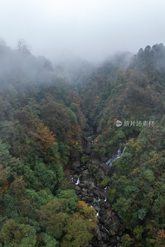 航拍四川雅安龙苍沟山林溪流秋景