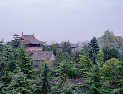 河南省洛阳市白马寺隐藏在树林中的古建筑