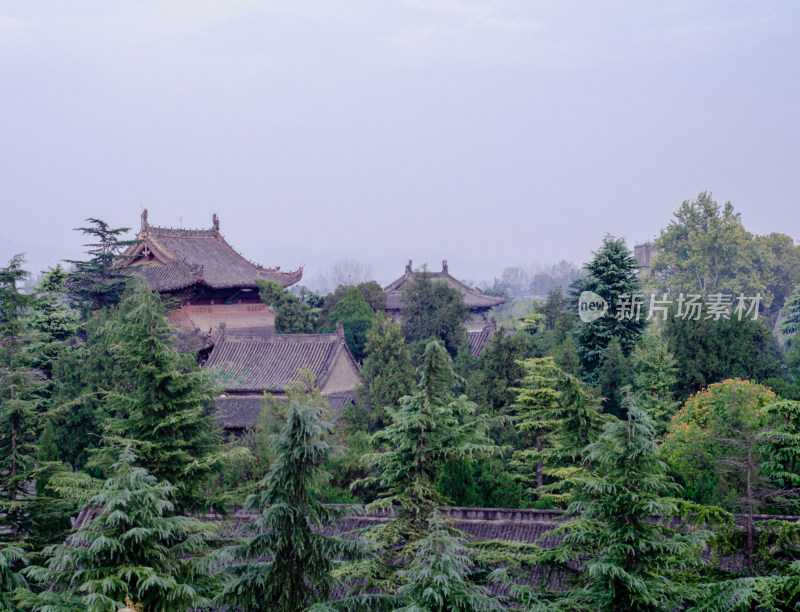 河南省洛阳市白马寺隐藏在树林中的古建筑