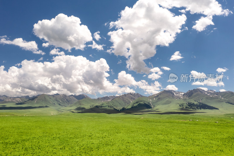 中国新疆伊犁那拉提草原自然风景